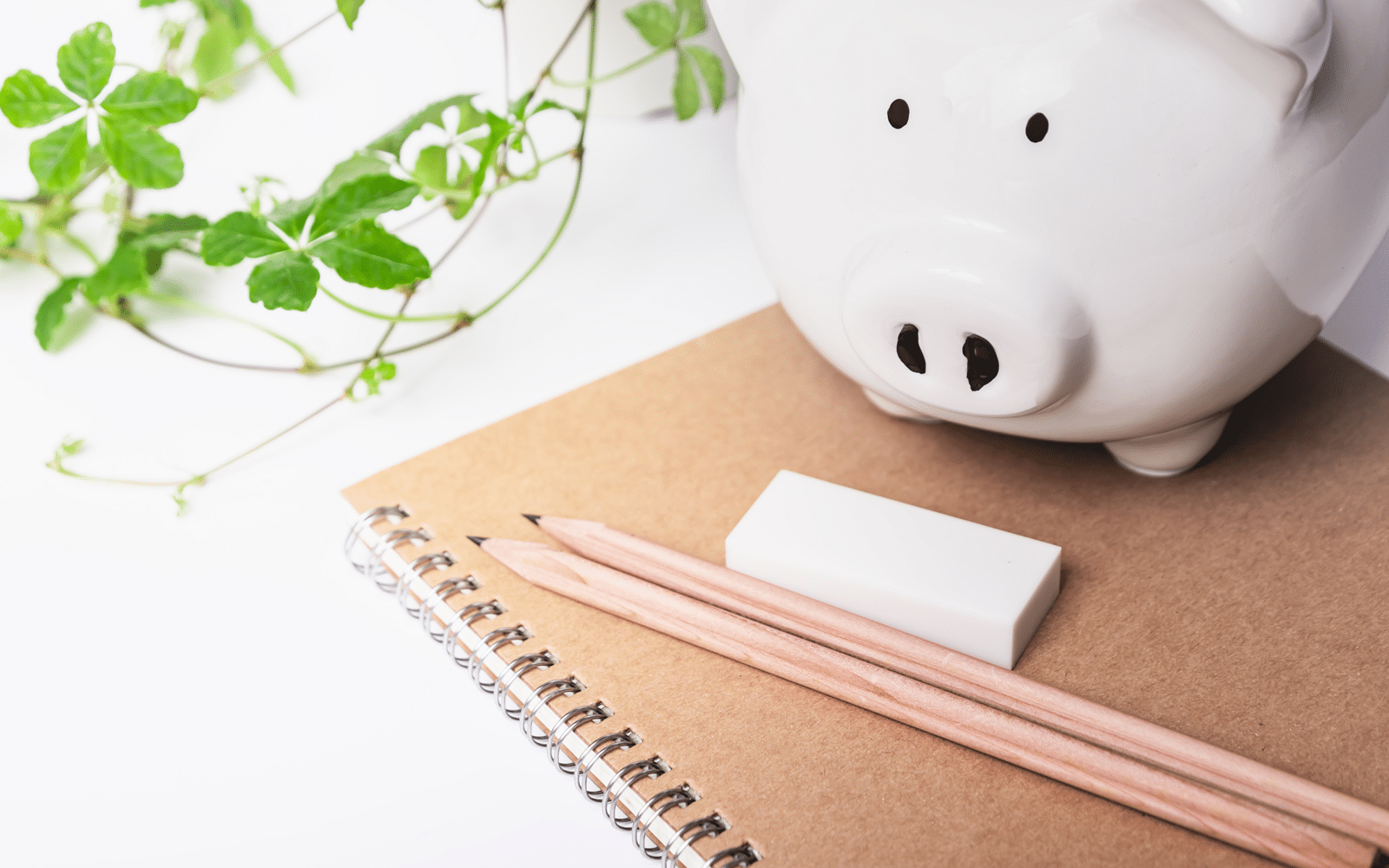 Piggy bank